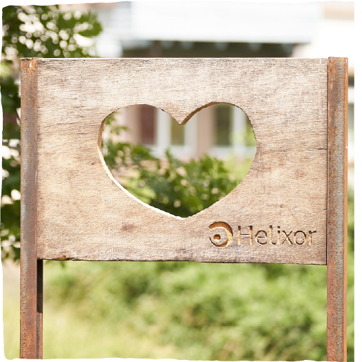 Portrait von Andrea Diehl, Fachärztin für Allgemeinmedizin und Anthroposophische Medizin, Referentin für Online Seminare bei der Helixor Heilmittel GmbH