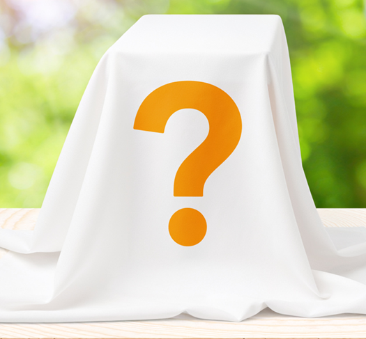 Portrait von Andrea Diehl, Fachärztin für Allgemeinmedizin und Anthroposophische Medizin, Referentin für Online Seminare bei der Helixor Heilmittel GmbH