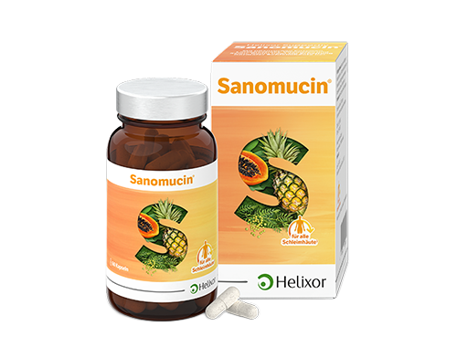 Illustration der Helleborus-Therapie mit Ampulle und Christrose